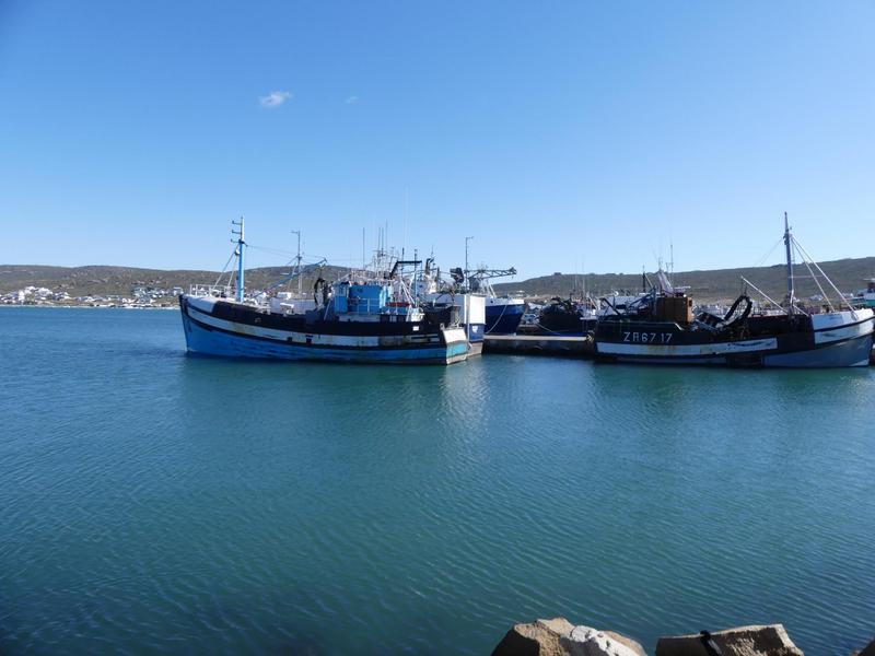 0 Bedroom Property for Sale in Harbour Lights Western Cape